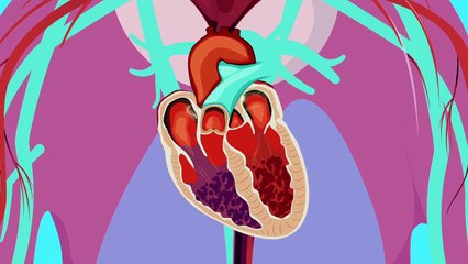 Heart Healthy Aging with Nutrition | Mars, Incorporated