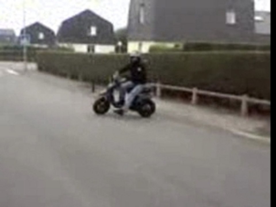 teddy en roue