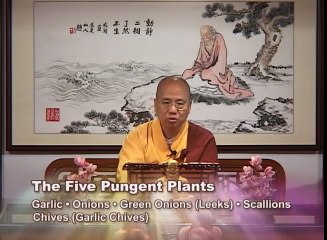 Dharma Q&A Episode 18 Venerable Guan Cheng