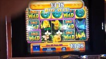 JUNGLE WILD Penny Video Slot Machine with BONUS and a BIG WIN Las Vegas Casino