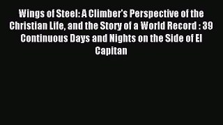 Read Wings of Steel: A Climber's Perspective of the Christian Life and the Story of a World