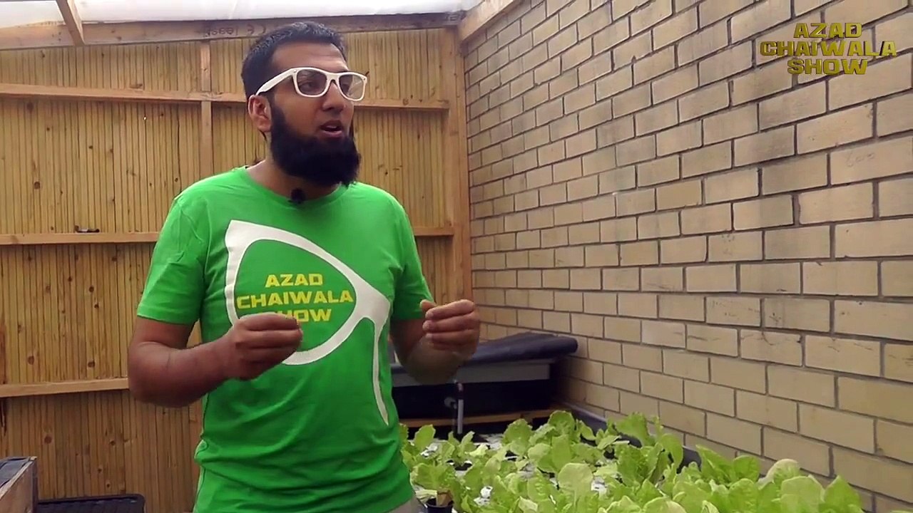 Aquaponics Farming Solution for Pakistan-India (Alternative to Hydroponics).