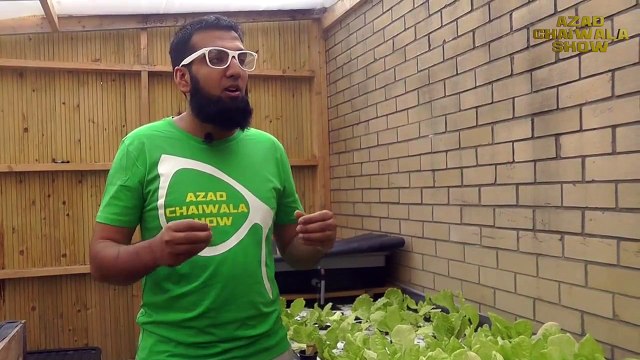 Aquaponics Farming Solution for Pakistan-India (Alternative to Hydroponics).