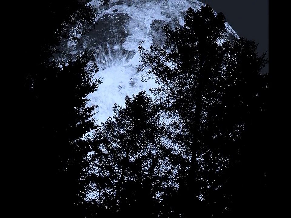 Jennifer Lally and Friends- Howl  (Florence and the Machine cover)