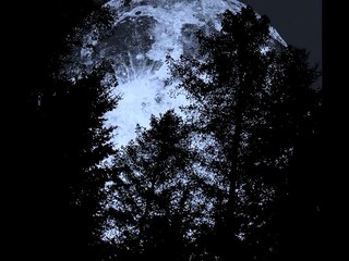 Jennifer Lally and Friends- Howl  (Florence and the Machine cover)