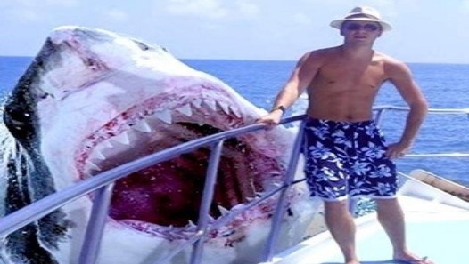 Biggest Sharks Ever?! - MEGALODONS! STILL ALIVE - video dailymotion