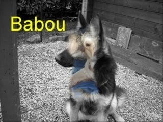 Anouchka et ses amis_0001