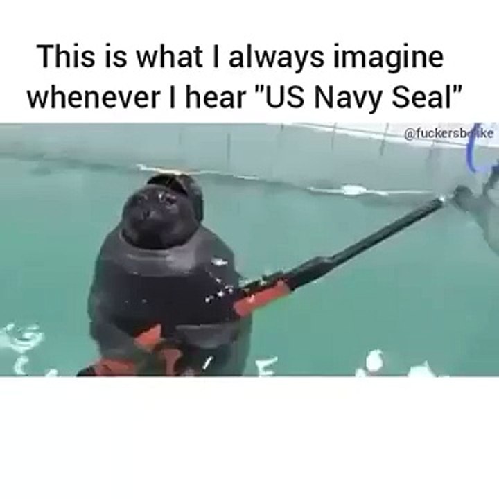 Funny Animal Videos - Over 13 Minutes Of Hilarious And Cute Animal Moments