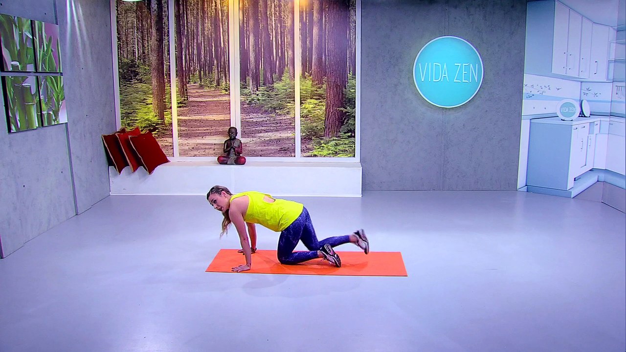 Ejercicios para principiantes 1 - Vida Zen Ep 53 (2/4)