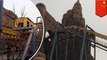 Bird lands on roller coaster sensor, leaves riders hanging upside down