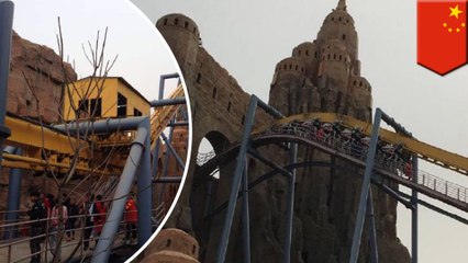 Bird lands on roller coaster sensor, leaves riders hanging upside down