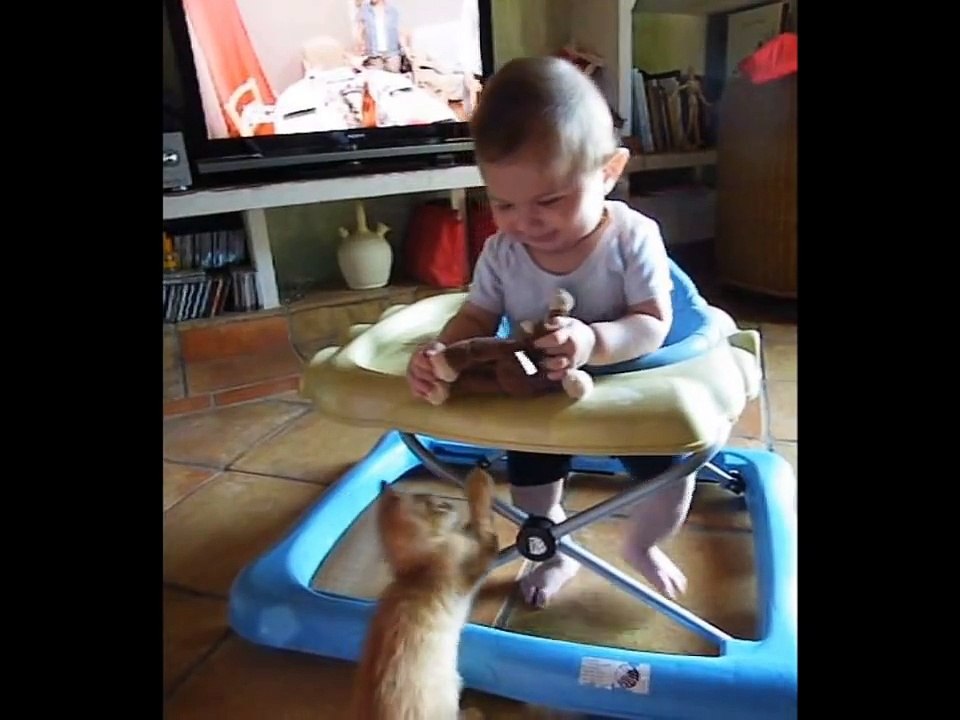 lùcHaT