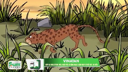 Khoảnh khắc kỳ diệu | Tranh muối | Full HD