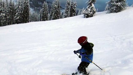 Bonham's First Yard Sale -Lookout Jan 2016