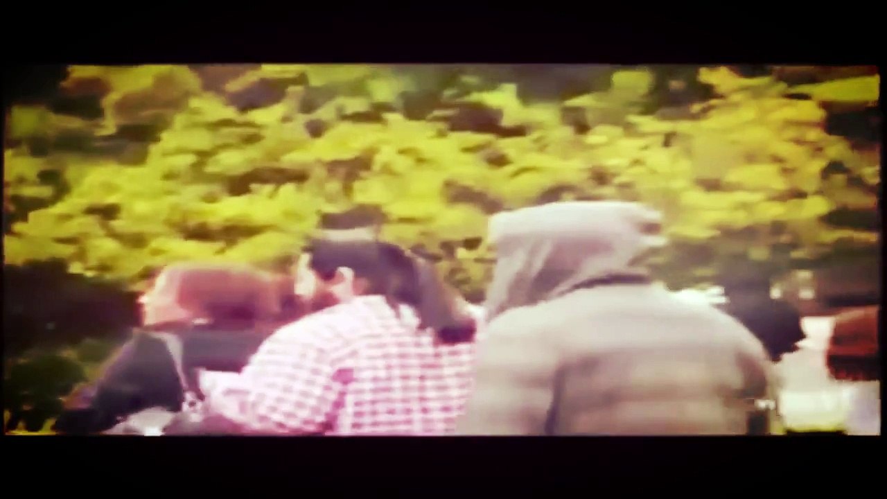 FUNNY ANIMALS VIDEOS