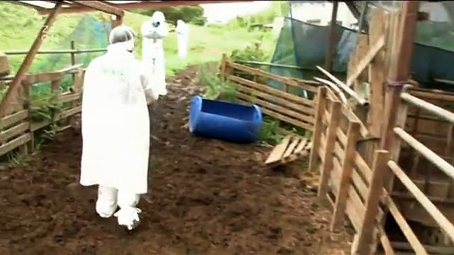 Fukušima: Nic není, jak bylo 2 -dokument ( Dokumenty.TV) cz / sk