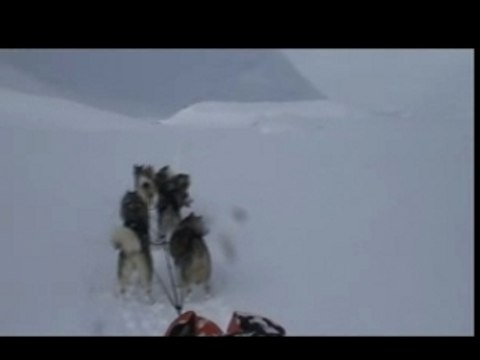 Raid jour 4/9 (traineau en laponie Suèdoise)