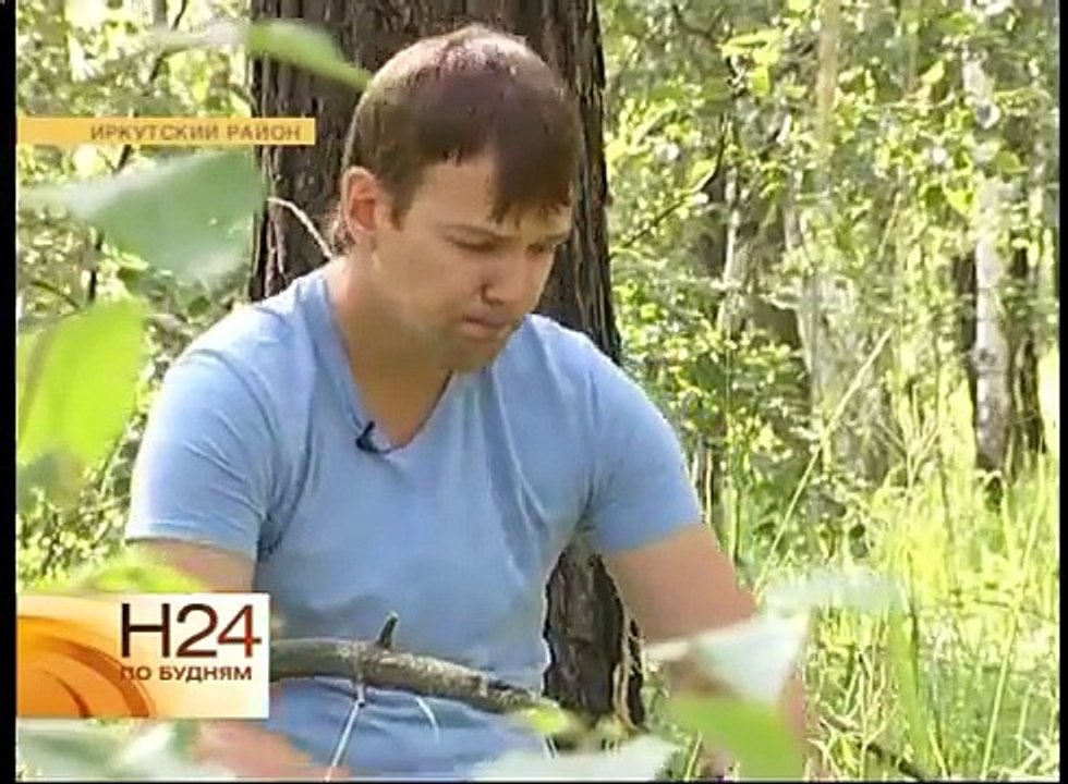 Что делать, если заблудились в лесу