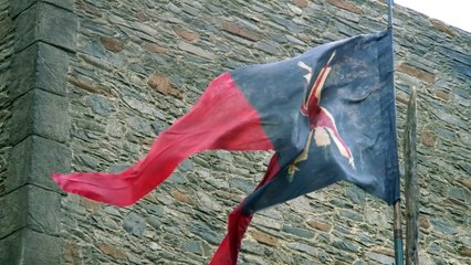 Game of Thrones: House Boltons Banner (HBO)