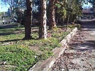 Rancho Santa Fe Farms Horse Property Bank Foreclosure