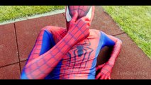 Spiderman Training w/ Superman & Hulk vs Venom & Joker - Superheroes Movie Real Life