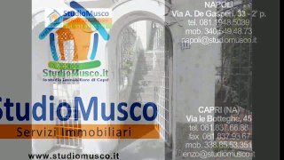 StudioMusco - Capri - Panoramicissimo e centralissimo appartamento con ampio terrazzo.