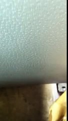 Nazir ke Gand me Lund