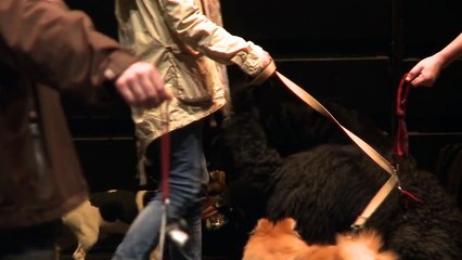 Les maîtres / extraits - Danse élargie 2012 , Théâtre de la ville.