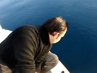 Kırlangıç Balığı