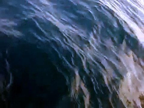 Mercan Balığı Avı