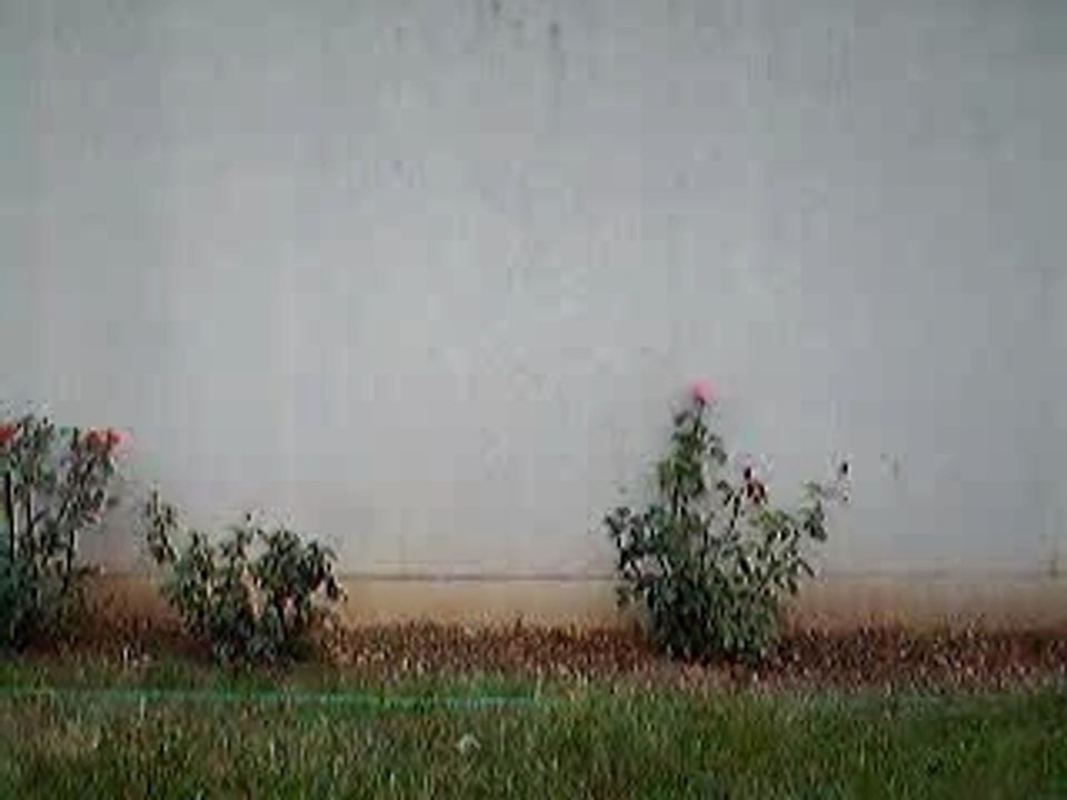 Mr marc dans le jardin