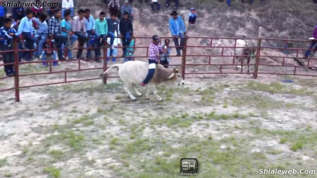 JARIPEO RANCHERO EN EL CENTRO SANTIAGO AMOLTEPEC OAXACA MEXICO LOS MEJORES TOROS DE LA GANADERIA LOCAL Y JINETES VALIENTES MARZO 2016