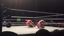 Brock Lesnar Returns to the WWE and Squashes F5 Rusev - TinyJuke.com