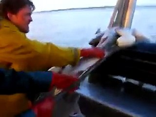 Balık Böyle Tutulur