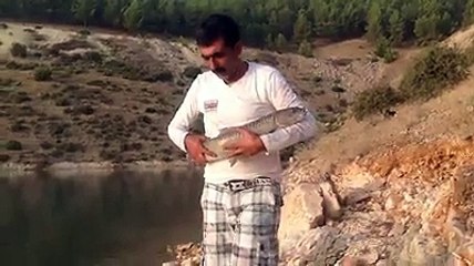 Şabut Balığı Avı