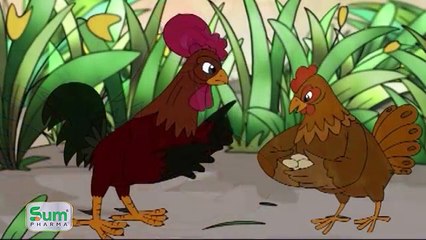 Khoảnh khắc kỳ diệu | Gà ấp trứng rắn | Full HD