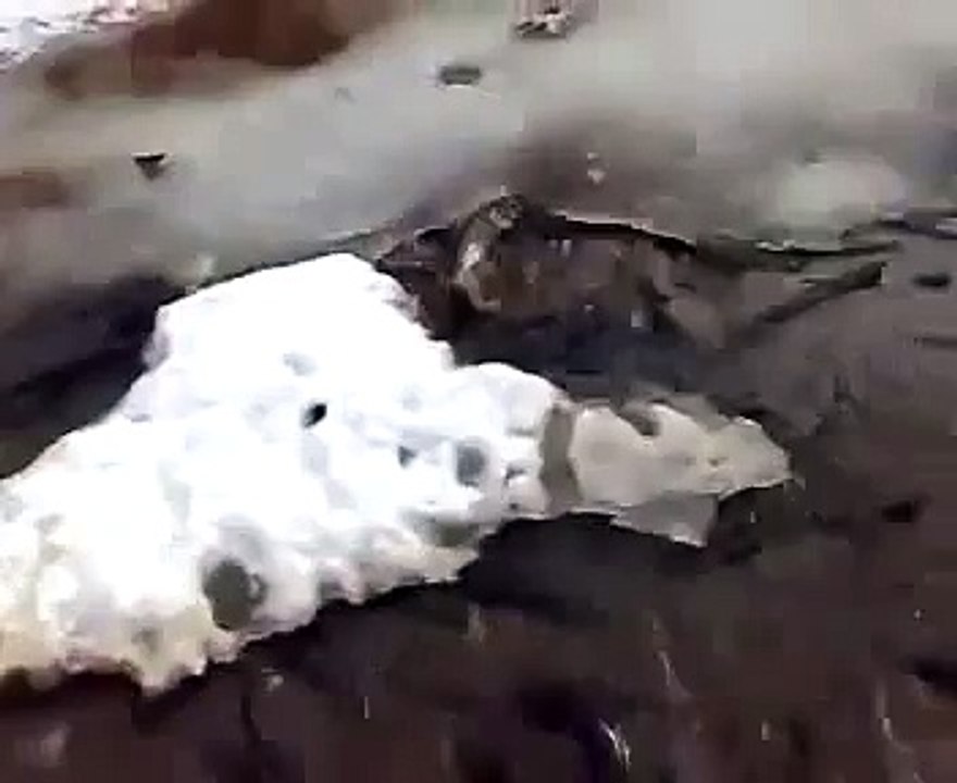 Elle balık tutmak