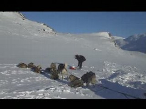 Raid jour 6.2/9 (traineau en laponie Suèdoise)