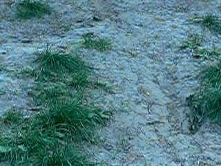 chateau de la chasse 6