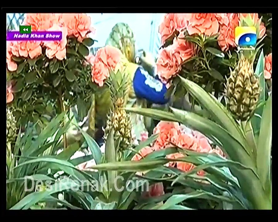 Nadia khan show 22 march 2016 Fiza Ali P4