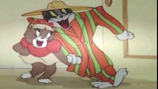 Tom and Jerry ( Tổng Hợp )  Tom And Jerry Cartoons