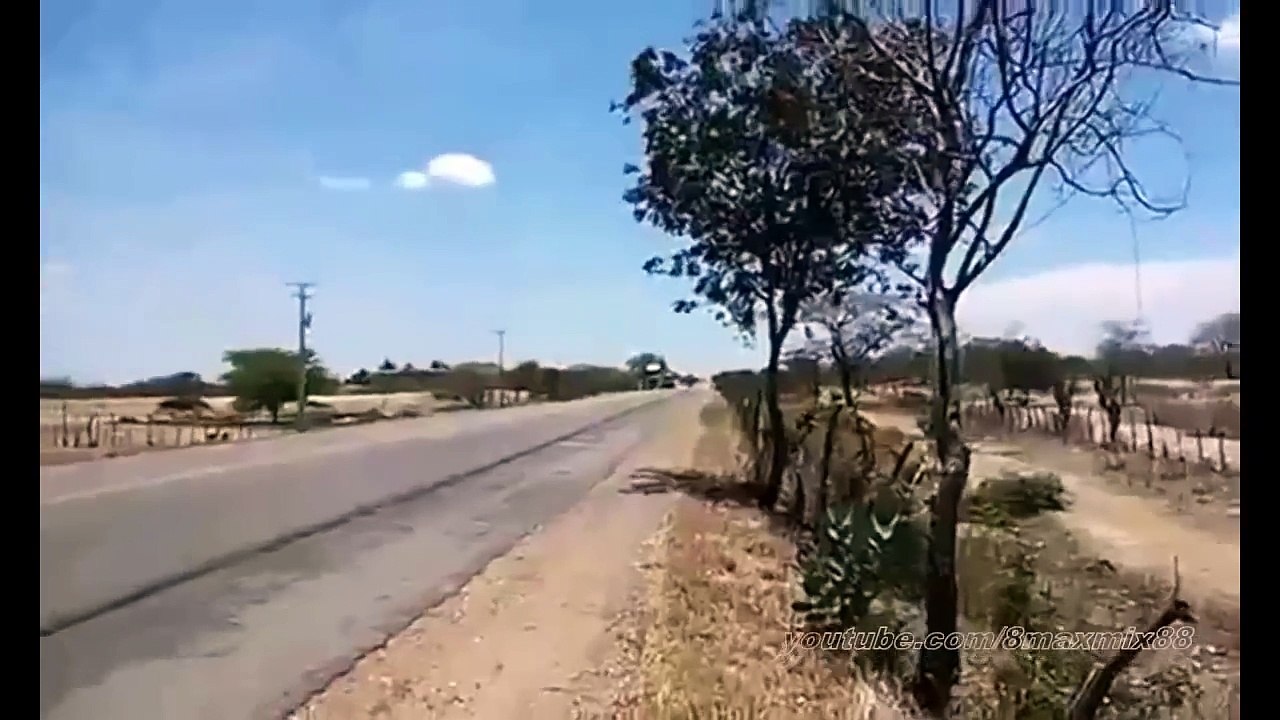 Подборка Грузовики виляет хвостом #2