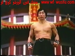 منتدى فنون الووشو كونغ فو   اسلوب النمر والطائر   اعداد الكابتن فايز الجوجرى