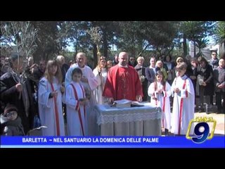 Barletta |  Nel Santuario la Domenica delle Palme