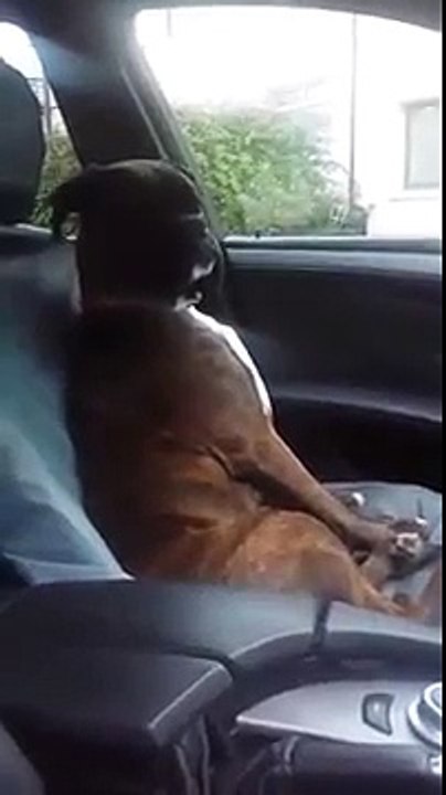 When hes still mad you took him to the vet