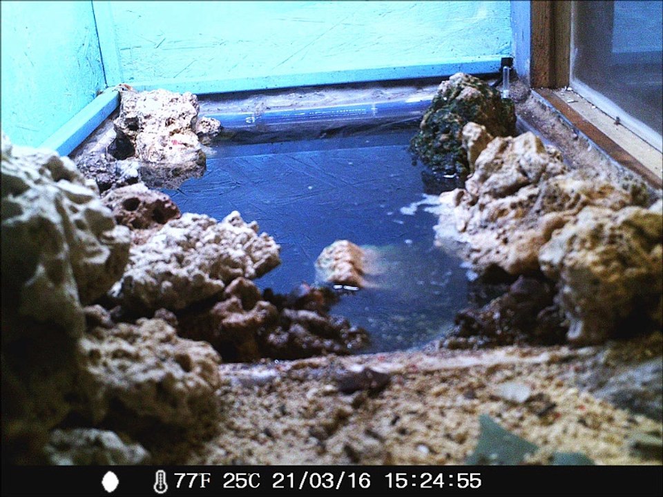 Zeitraffer/time lapse