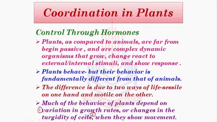 Coordination in Plants & Plants Movement