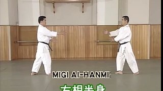 Энциклопедия Айкидо Ёшинкан. Yoshinkan Aikido DVD 1 2
