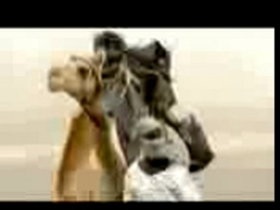 Nas darfur