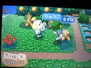 とび森　公共バグのやり方と川に花を植える方法